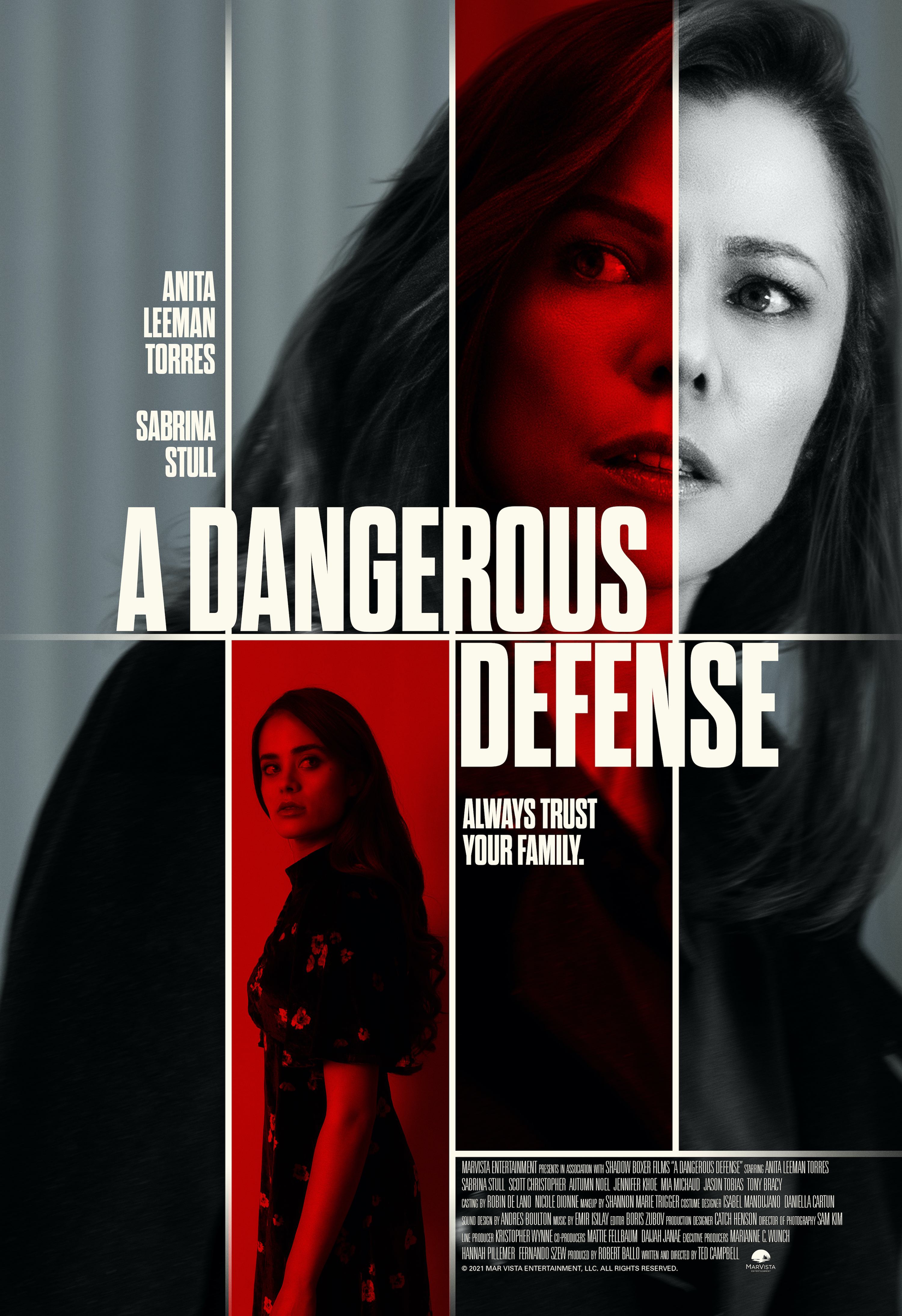 A Dangerous Defense (2021) постер