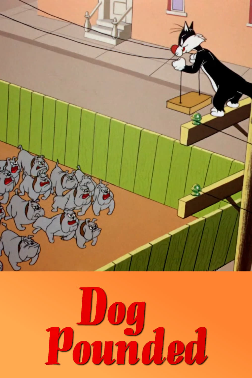 Dog Pounded (1954) постер