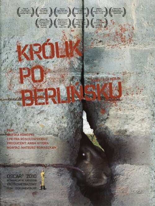 Кролик по-берлински (2009) постер