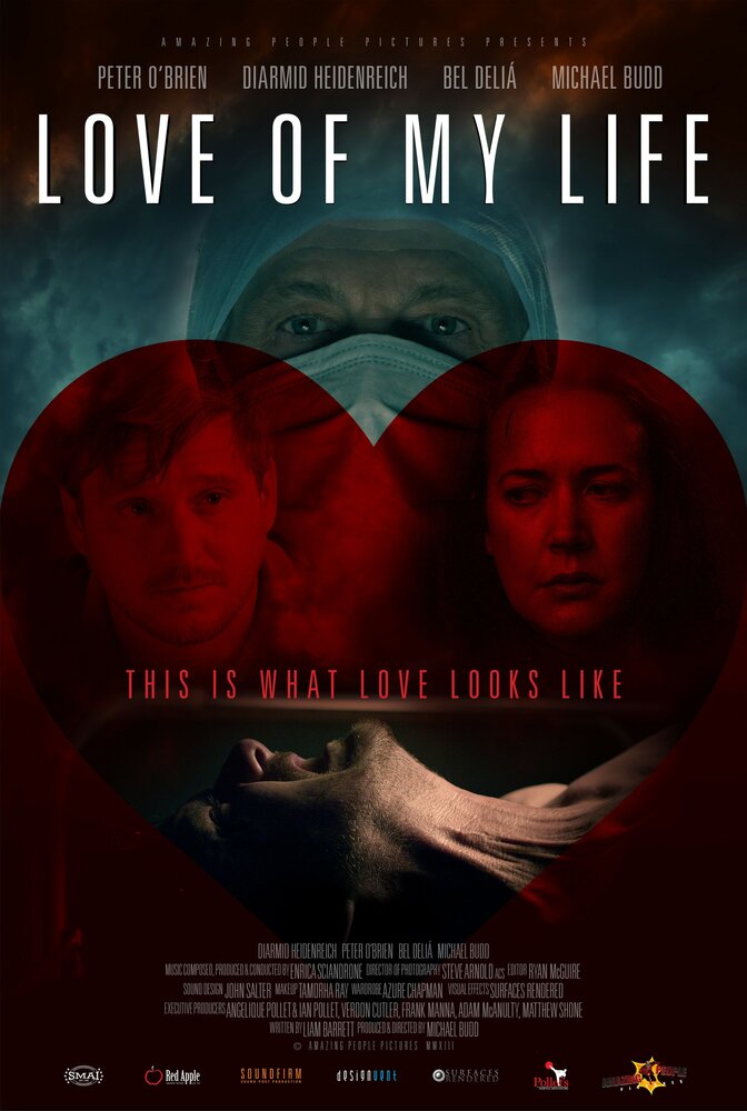 Любовь моей жизни (2013) постер