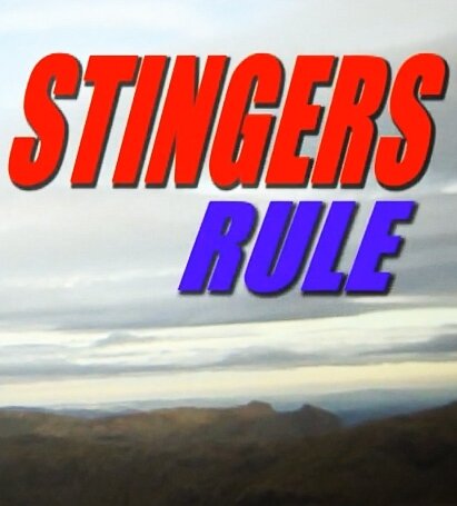 Stingers Rule! (2009) постер