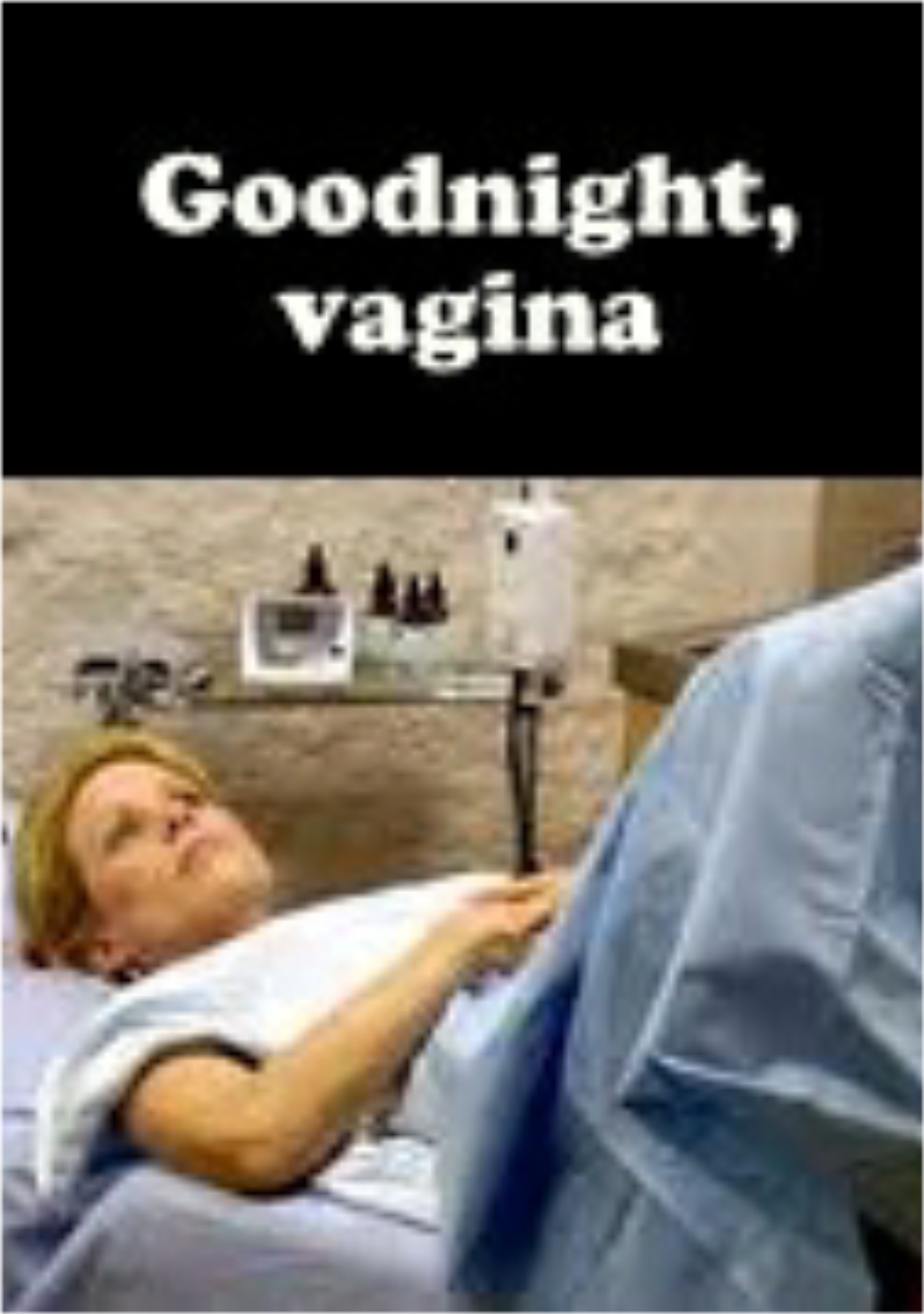 Goodnight, Vagina (2007) постер