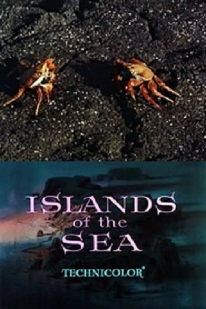 Острова моря (1960) постер