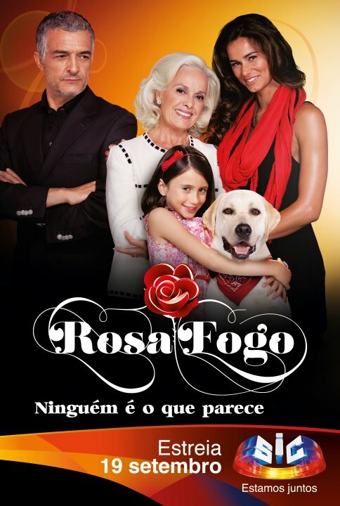 Роза в огне (2011) постер