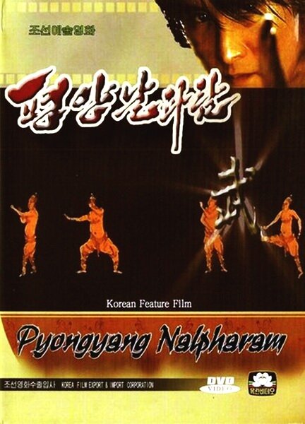 Пхеньян нальпхарам (2006) постер