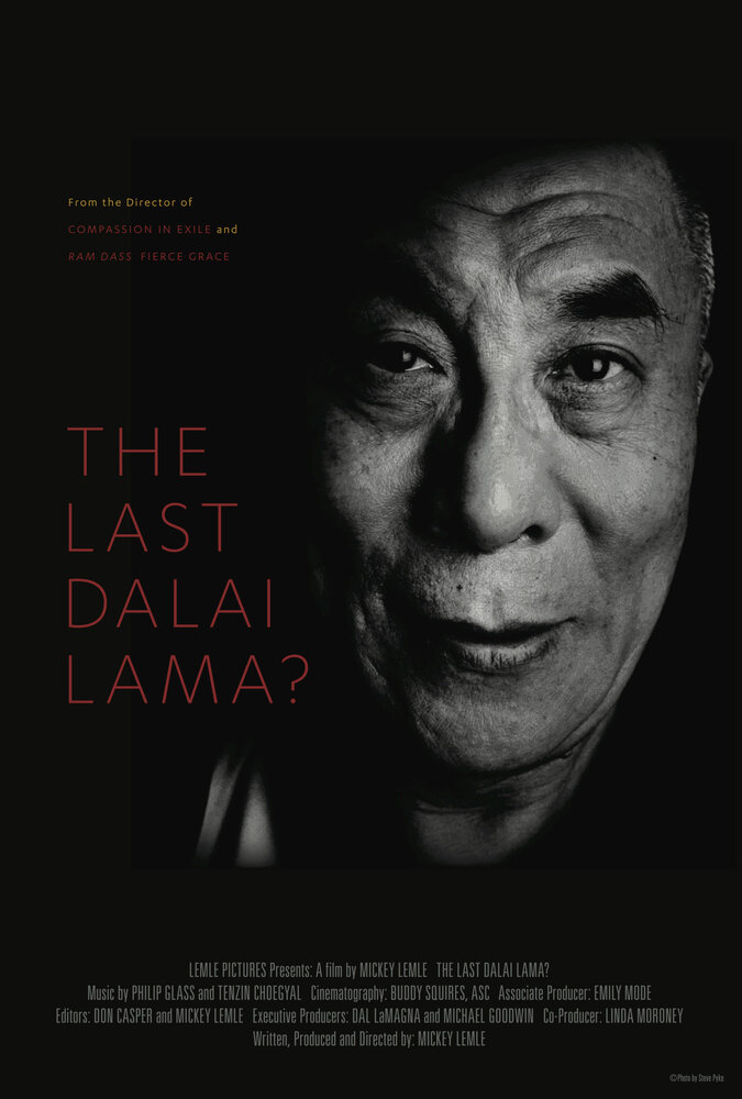 Последний Далай-лама? (2016) постер