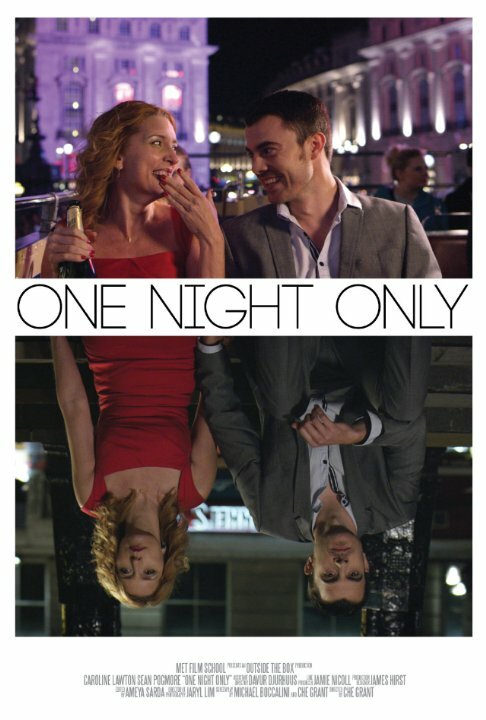 Только на одну ночь (2014) постер