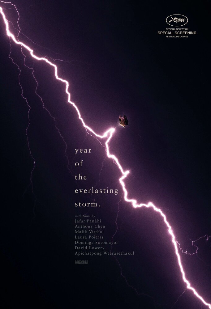 Год вечной бури (2021) постер