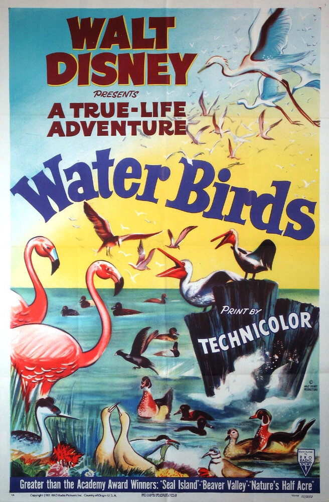 Водоплавающие (1952) постер