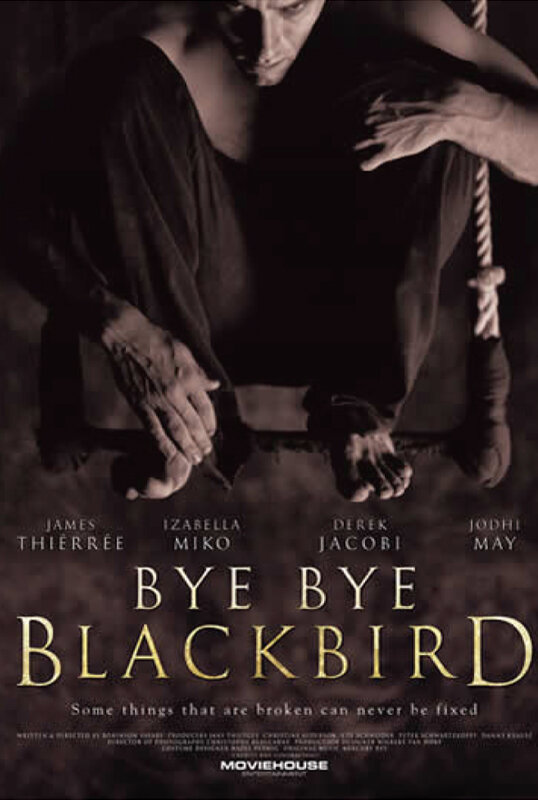 Прощай, черный дрозд (2005) постер