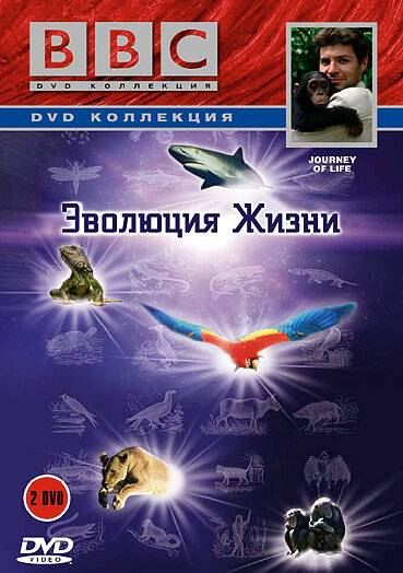 BBC: Эволюция жизни (2005) постер