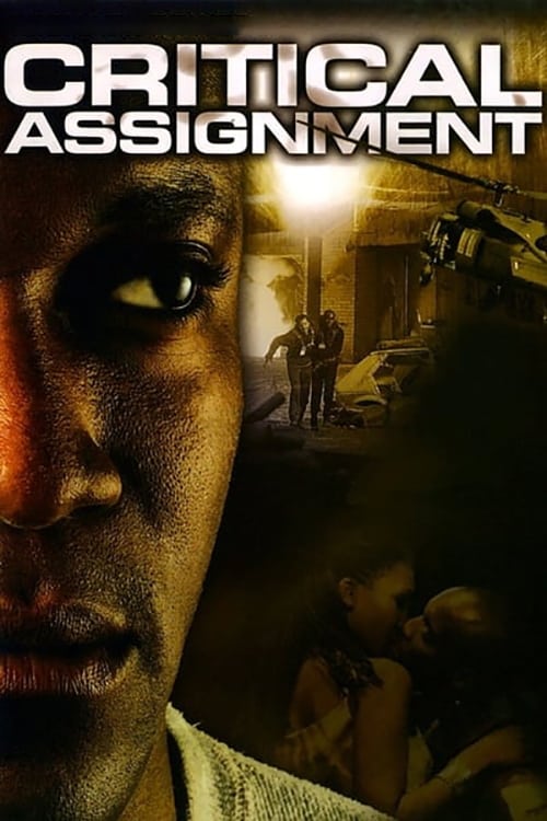 Critical Assignment (2004) постер