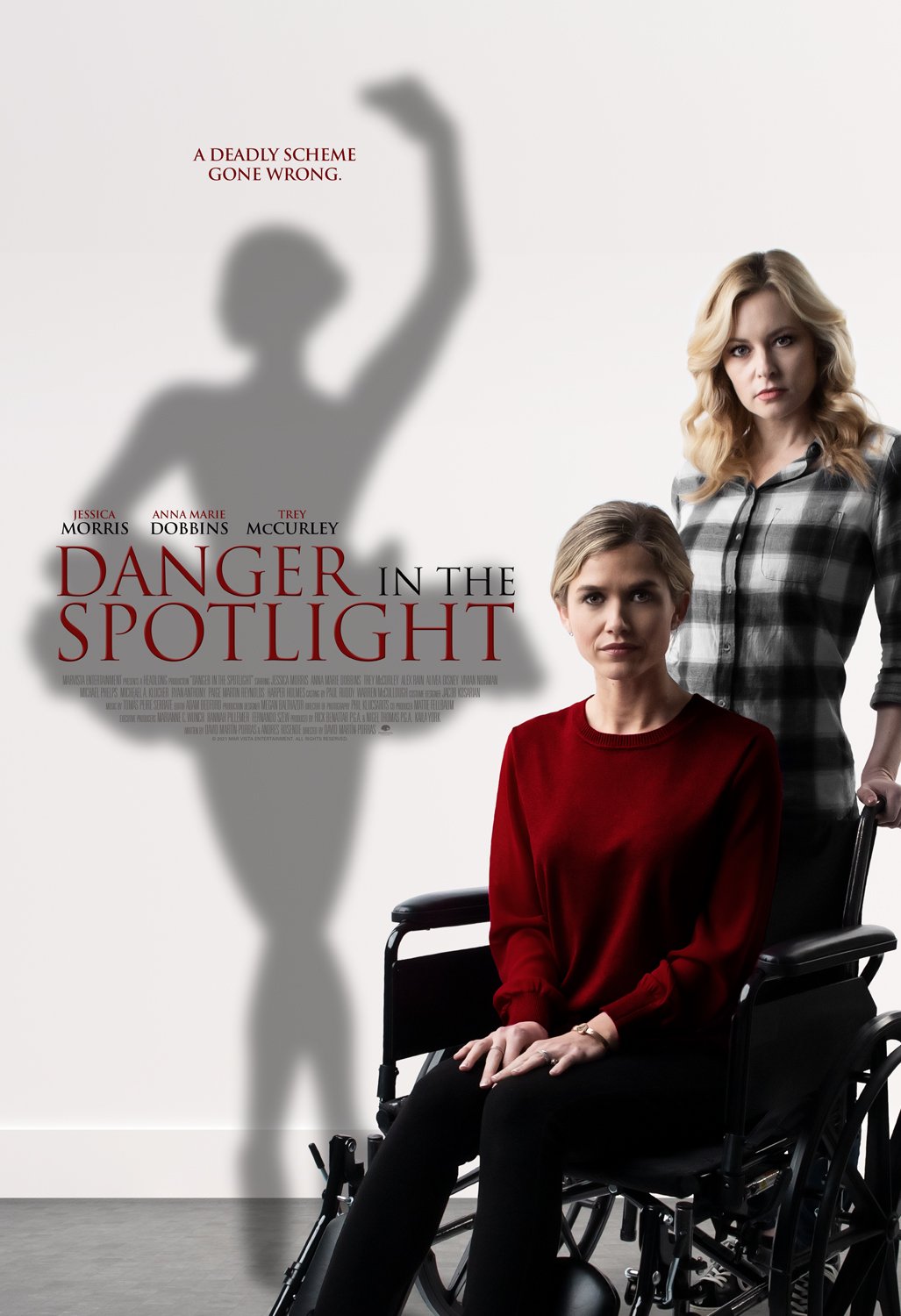 Danger in the Spotlight (2021) постер