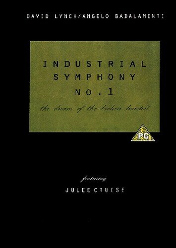 Индустриальная симфония №1: Сон девушки с разбитым сердцем (1990) постер