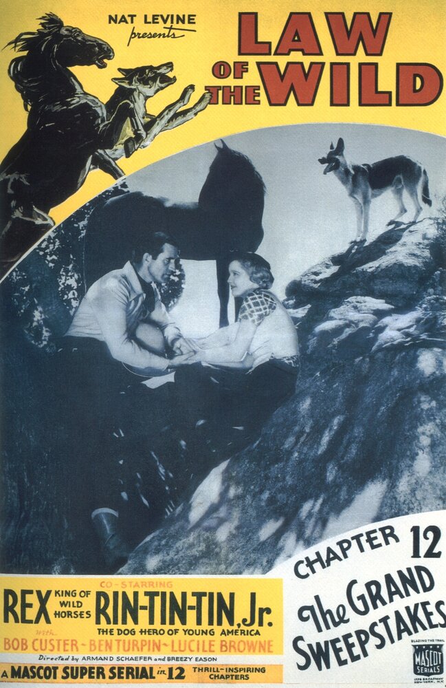 Закон дикой природы (1934) постер