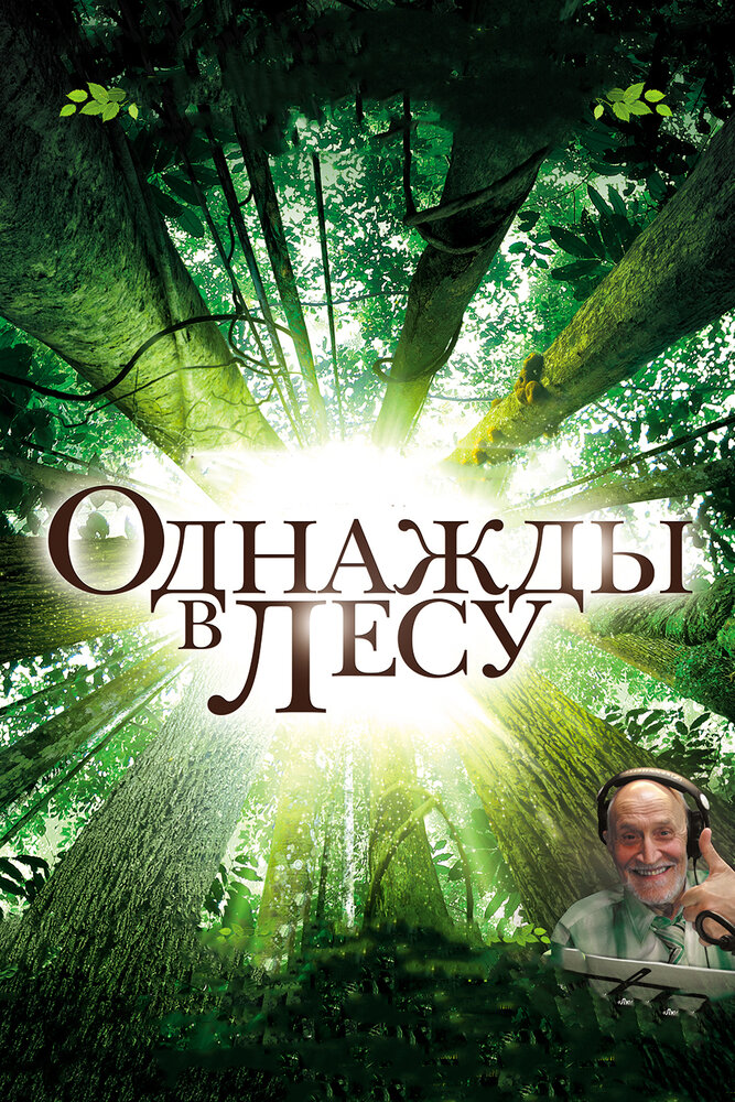 Однажды в лесу (2013) постер