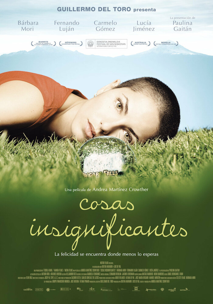 Неважные вещи (2008) постер