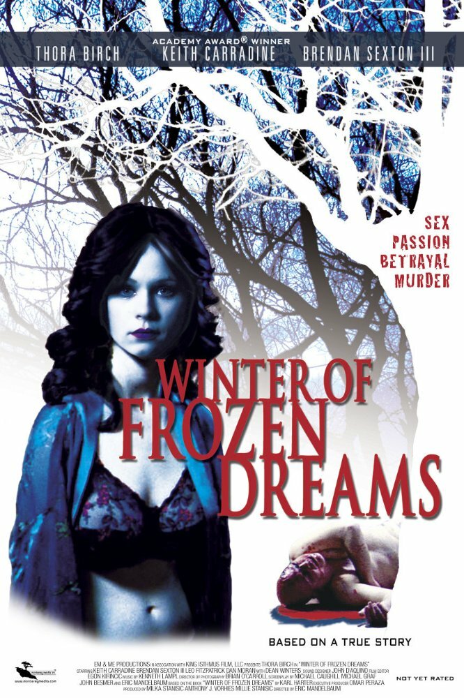 Зима замерзших надежд (2009) постер