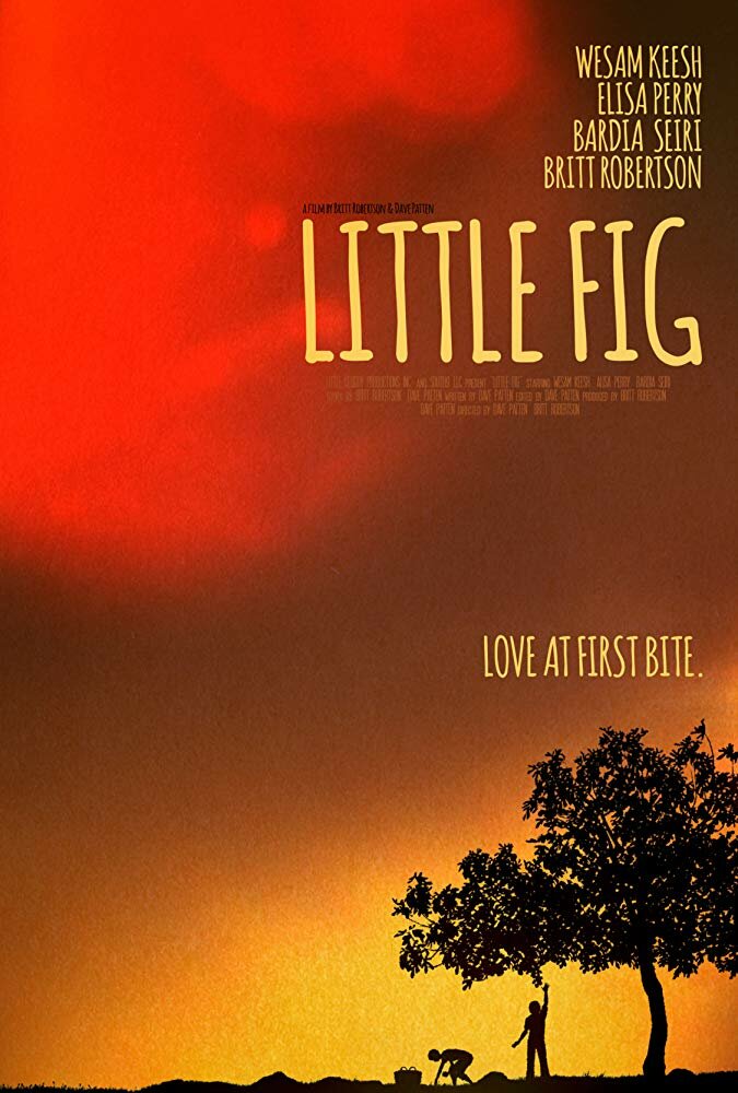 Little Fig (2019) постер